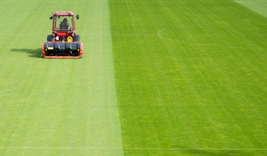 Aeration & Seeding